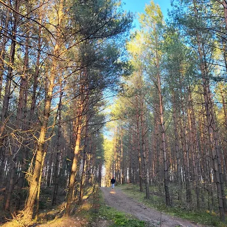 Przystan Semlinska Holiday home Semlin