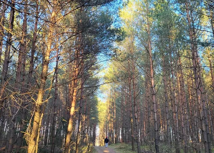 Przystan Semlinska Nyaraló Semlin